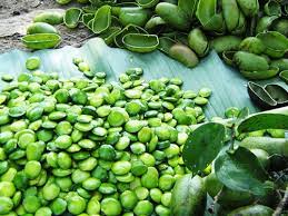 Griffonia Seeds