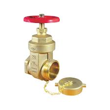 Fire Hose Valves