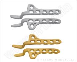 Hook Plates