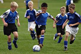 Soccer Shin Guard