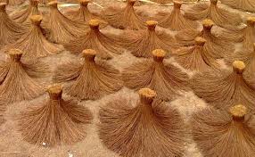 Palmyra Fibre