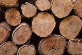 Hardwood