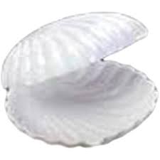 Plastic Shells