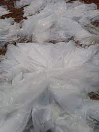 LDPE Scrap