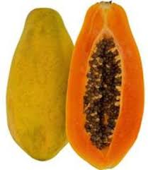 Papaya Seedling
