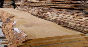 Oak Wood