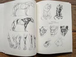 Drawing Books