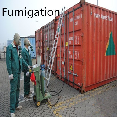 Container Fumigation Service