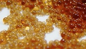 Ion Exchange Resin