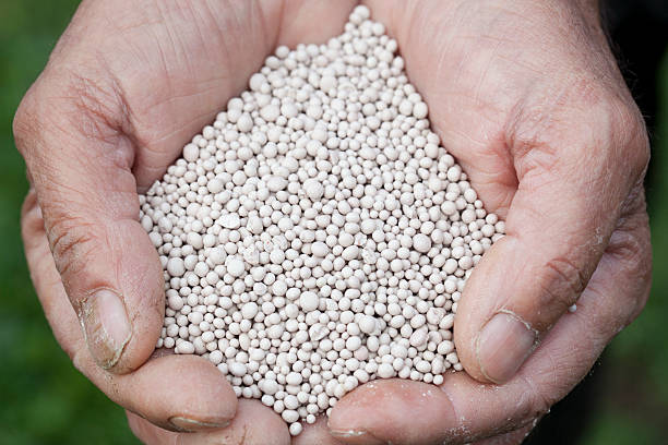 Nitrogen Fertilizer