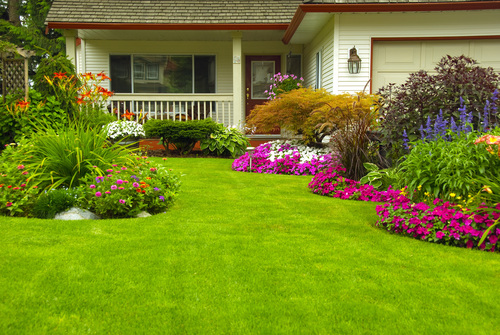 Lawn Development Services