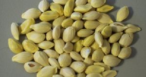 Lemon Seeds