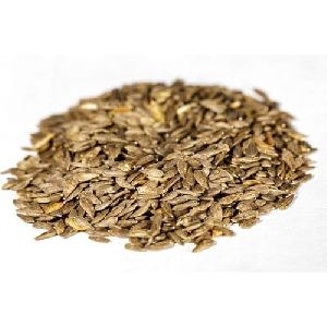 Lettuce Seeds