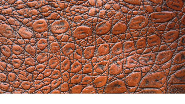 Split Leather