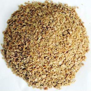 Maize Cattle Feed