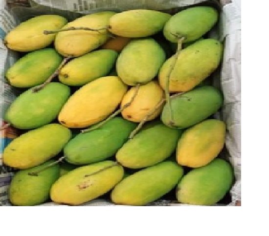 Dashehari Mango