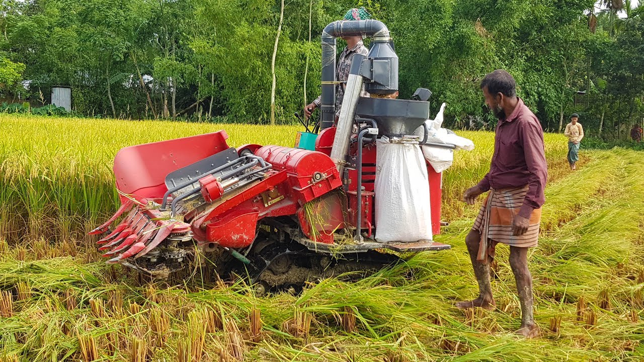 Rice Harvester