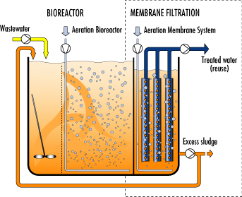 Membrane Bioreactor