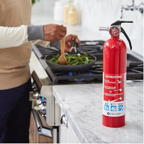 Kitchen Fire Extinguisher