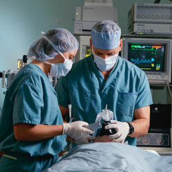 Medical Surgery Services