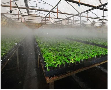 Mist Chamber