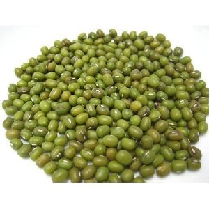 Moong Seeds