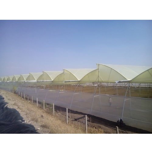 Naturally Ventilated Greenhouse