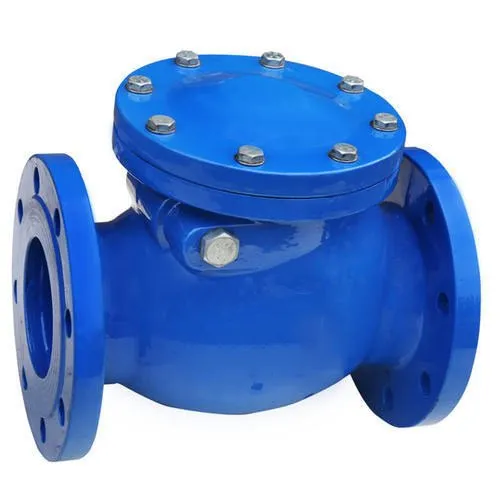 Cast Iron Non Return Valves