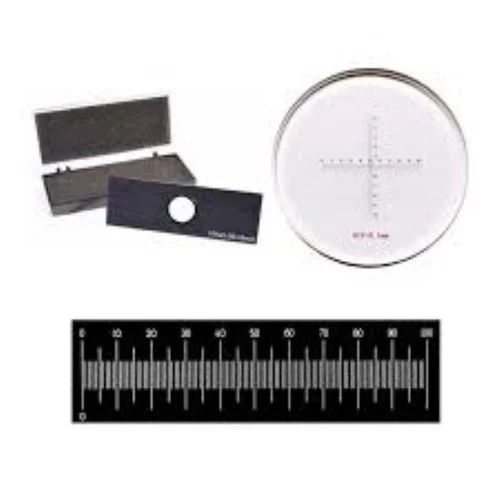 Ocular Micrometer