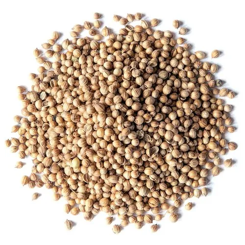 Organic Coriander Seeds