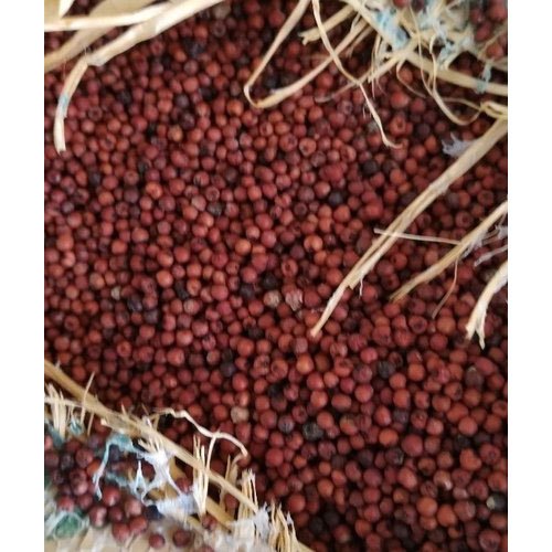 Organic Ragi