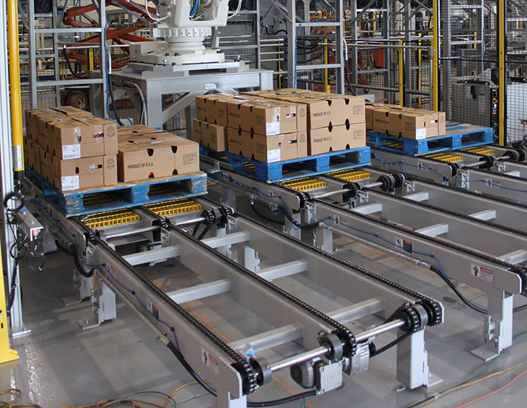 Chain Conveyors