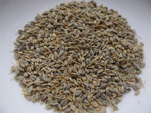 Parsley Seeds
