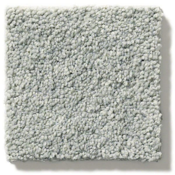 Cut Pile Carpet