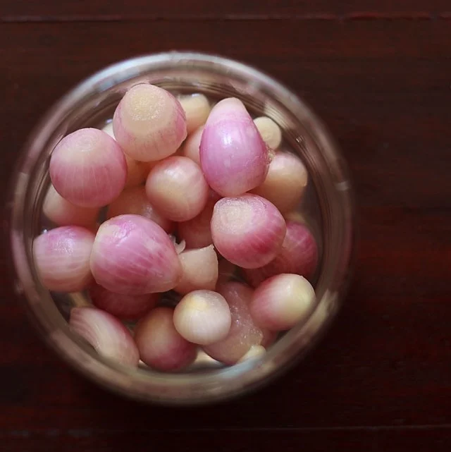 Onion Pickle