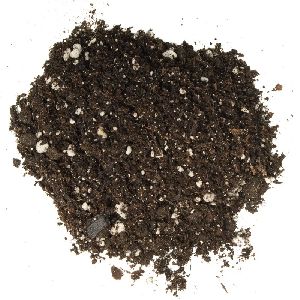 Potting Soil