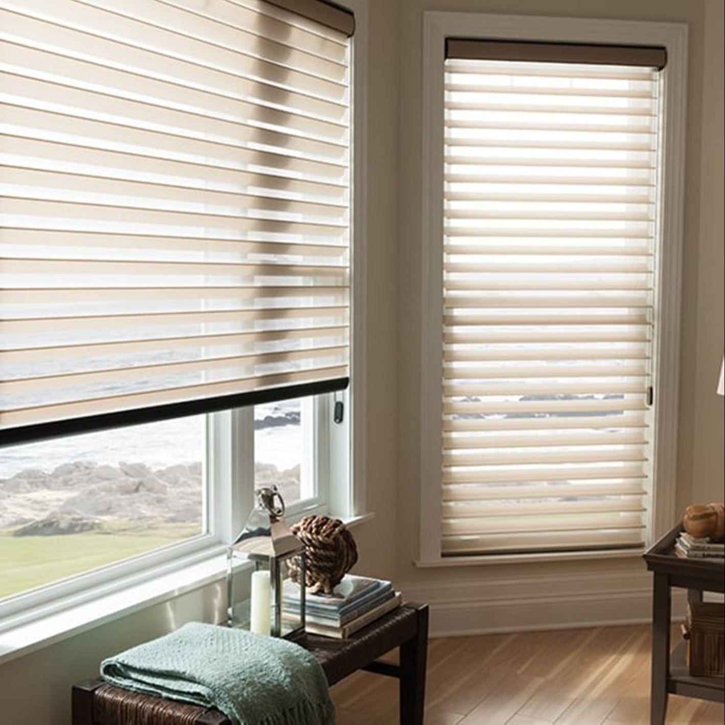 Pleated Blinds