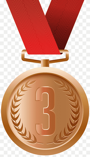 Bronze Medal