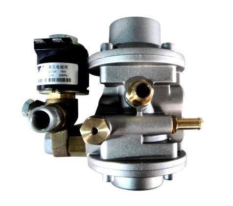 Cng Pressure Regulator