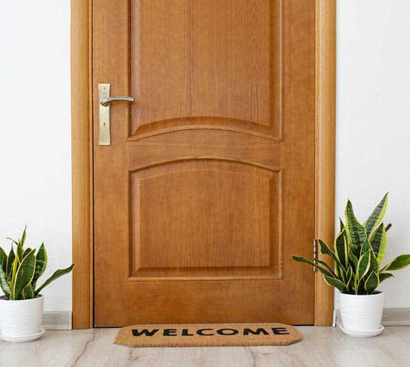Wpc Door