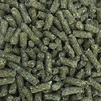 Rabbits Feed