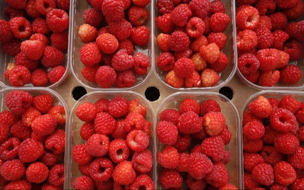 Raspberry Flavor
