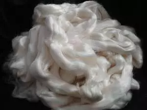 Rayon Fiber