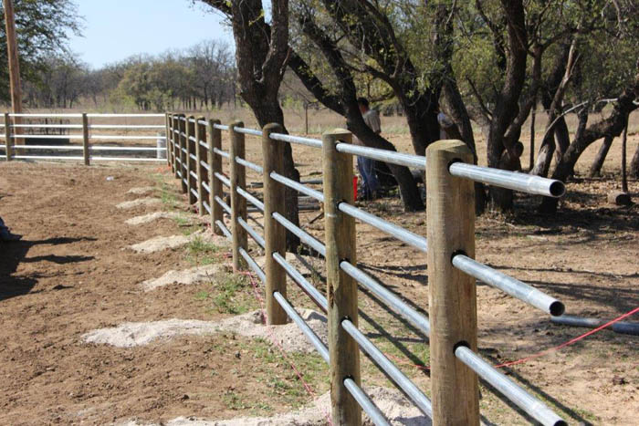 Fence Posts