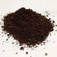 Rhizobium Biofertilizer