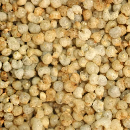 Roasted Bajra