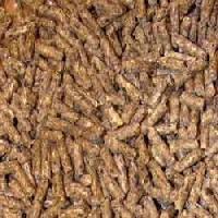 Sheep Feed