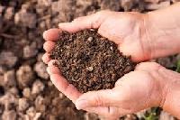 Soil Probiotics