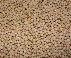 Sorghum Meal