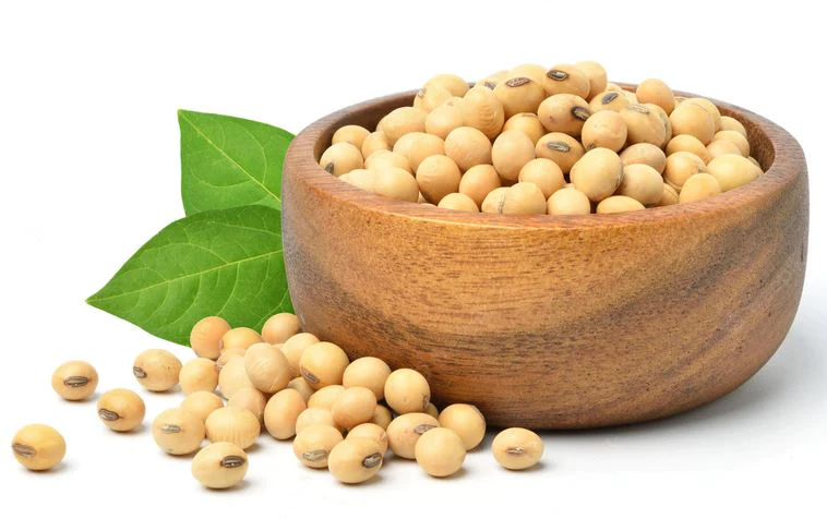 Organic Soybean